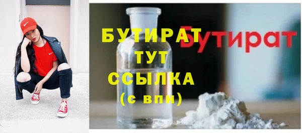 хмурый Магас