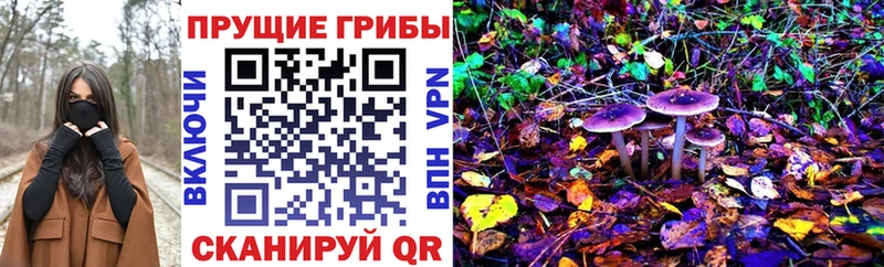 Псилоцибиновые грибы ЛСД  купить наркотики сайты  Нефтекумск 