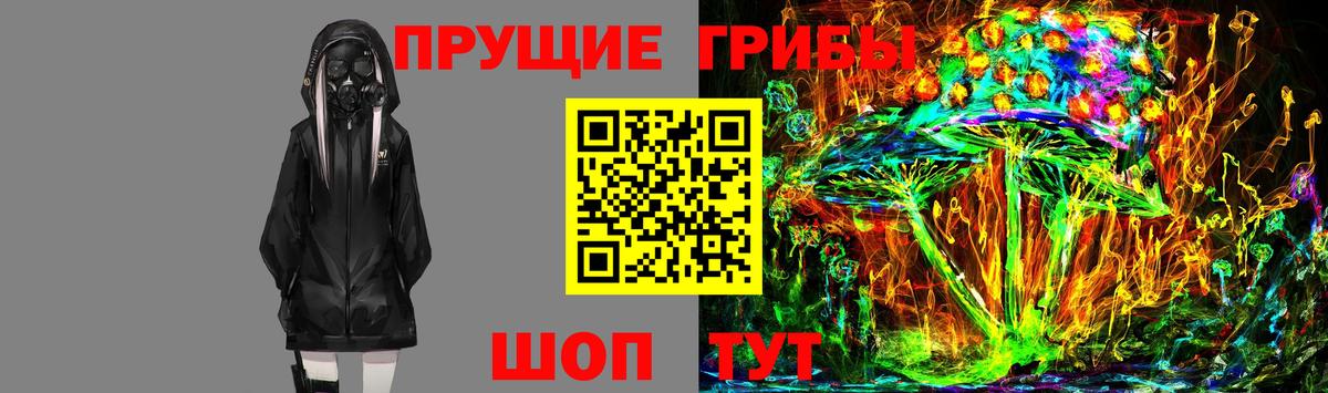 Псилоцибиновые грибы GOLDEN TEACHER Нефтекумск